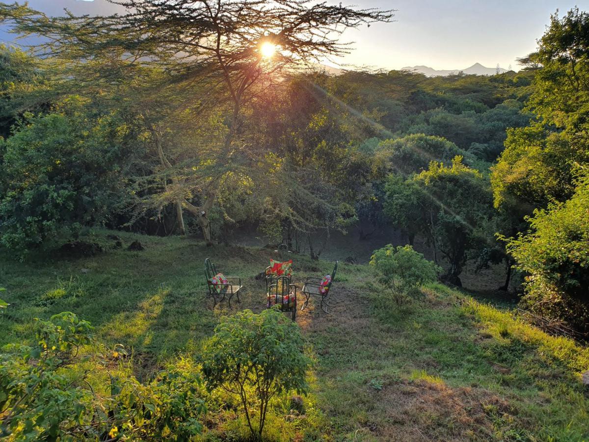 Villa Hillside Retreat - Africa Amini Life à Usa River Extérieur photo